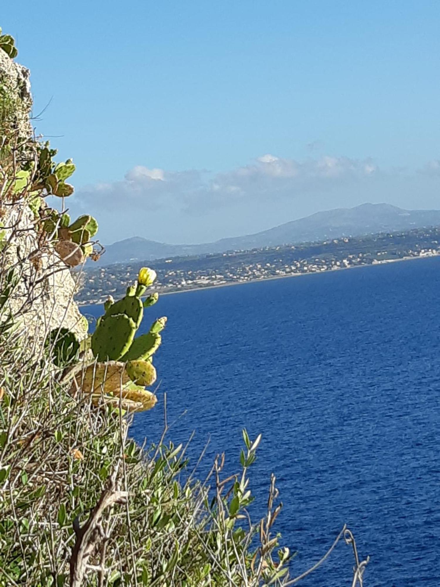 Villa Al Mare 'Happy Summer' Terrasini Εξωτερικό φωτογραφία